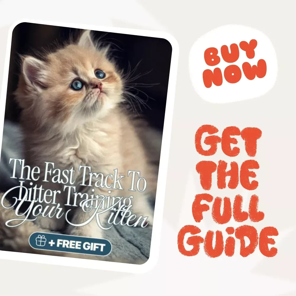 Purrfect Potty: The Fast Track to Litter Training Your Kitten - A Step-by-Step Guide to Successful Litter Training