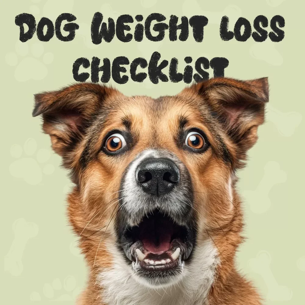 The “Fluffy to Fit” Dog Weight-Loss Checklist: A Step-by-Step Guide to Help Your Pup Shed Pounds with Ease