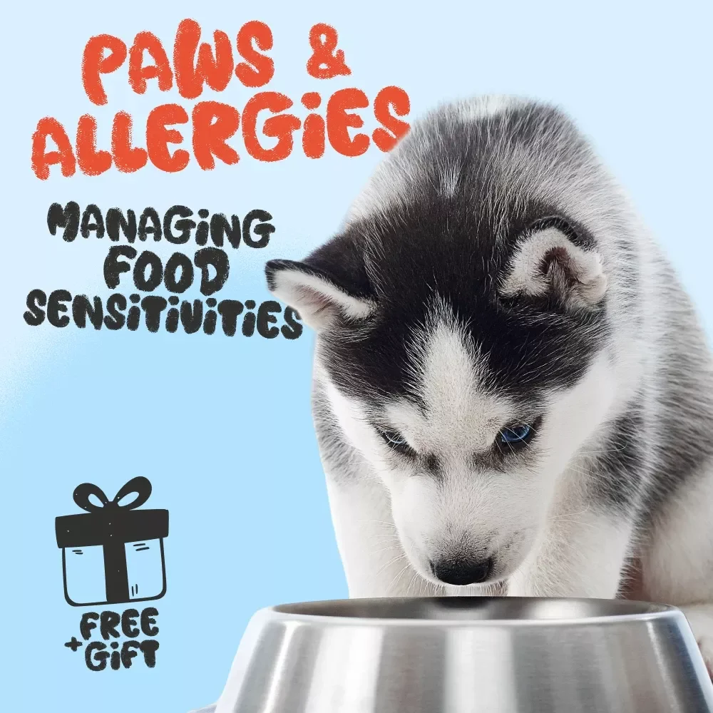 Paws & Allergies: A Friendly Guide to Managing Your Dog’s Food Sensitivities | Dog Allergy eBook, Canine Food Allergy Guide, Pet Health Digital Download, Hypoallergenic Dog Diet Tips