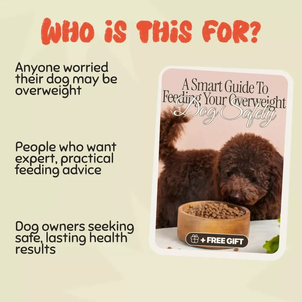 Healthy Bites: A Smart Guide to Feeding Your Overweight Dog Safely | Digital Download for Pet Owners | How to Feed an Overweight Dog Safely, Step-by-Step Nutrition & Care Plan