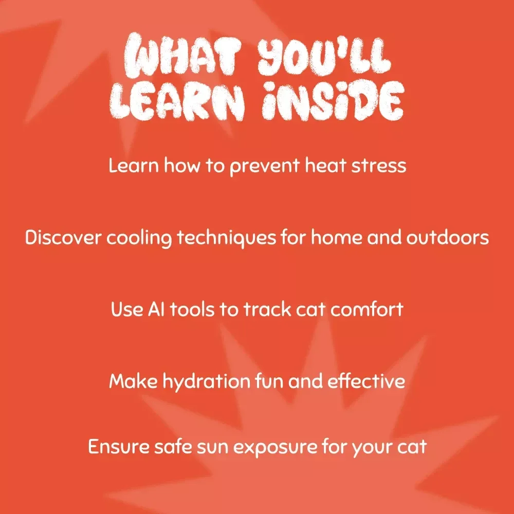 Purr-fectly Cool Cats: A Complete Guide to Keeping Your Feline Cool & Comfortable in Hot Weather