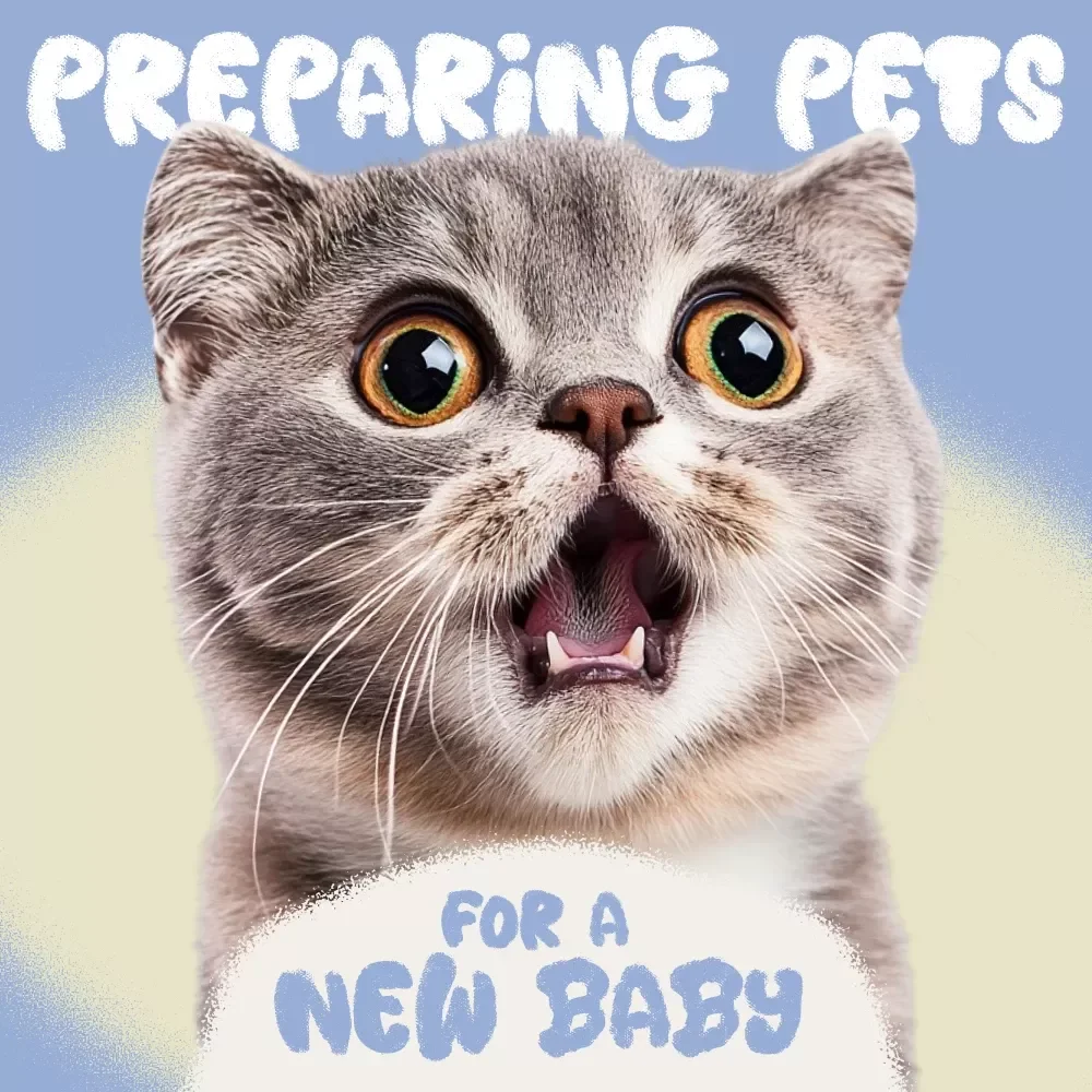 Preparing Pets for a New Baby | How to Prepare Pets for a New Baby in the Home | Pet & Baby Transition eBook