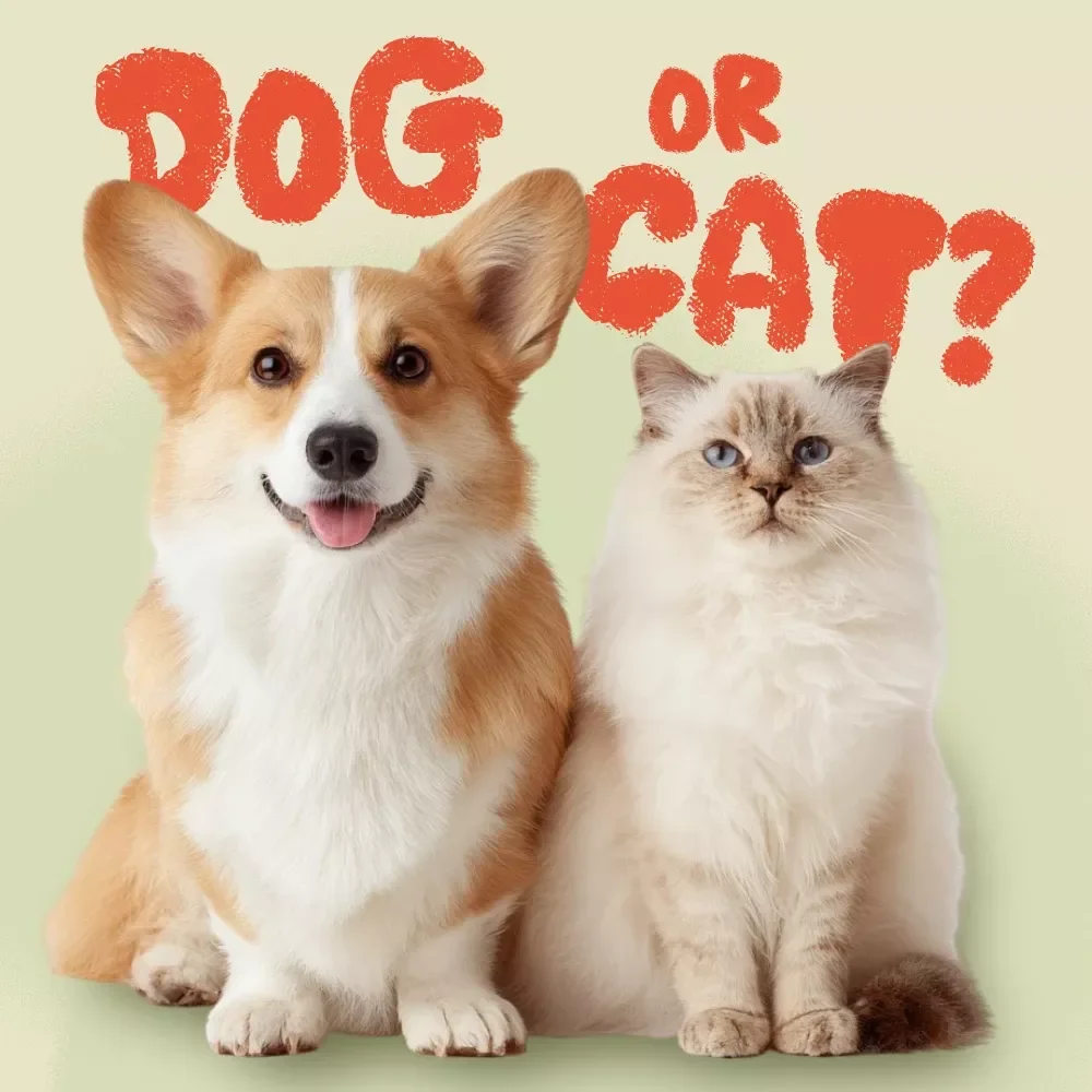 Beginner’s Guide: Dog or Cat? | How to Choose a Dog or Cat for First-Time Pet Owners | Digital Download eBook & Lifestyle Match Guide