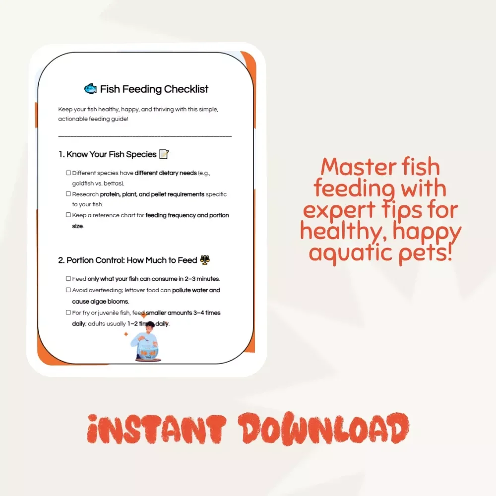 Fish Feeding Checklist – How Much Should You Feed Fish Daily? Complete Guide for Aquarium Care