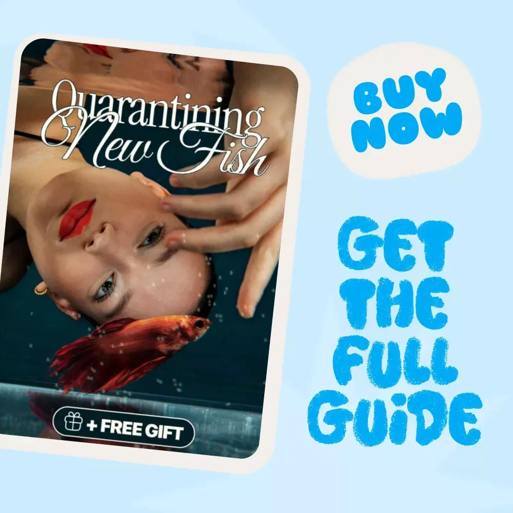 Quarantining New Fish | Comprehensive Digital Guide for Aquarium Hobbyists | How to Quarantine New Fish Properly Step-by-Step eBook