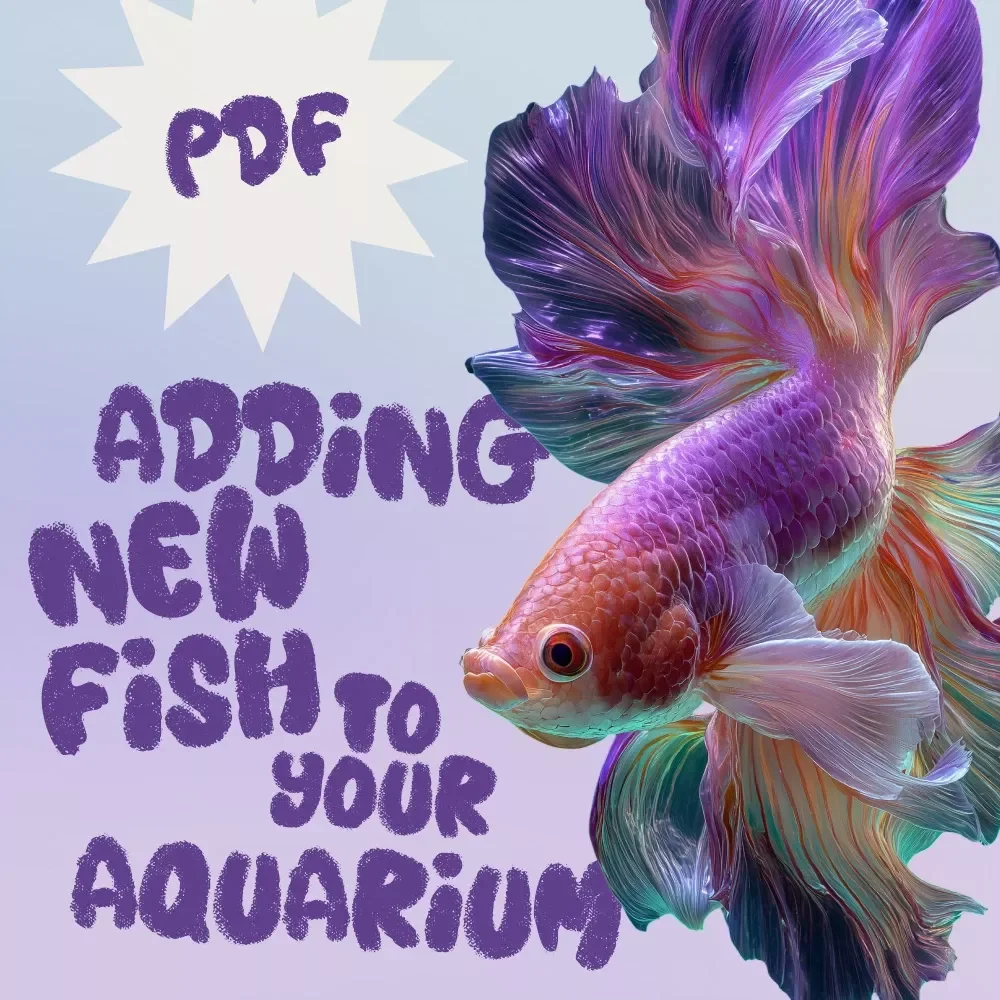 Adding New Fish to Your Aquarium | Digital Guide for Beginners | Expert Tips for Adding New Fish to a Tank | Instant Download eBook
