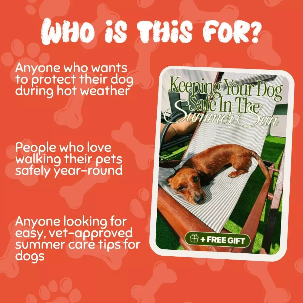 Keeping Your Dog Safe in the Summer Sun | Digital Download Guide for Dog Owners | Pet Safety eBook for Hot Weather, Paw Care, and Summer Walks