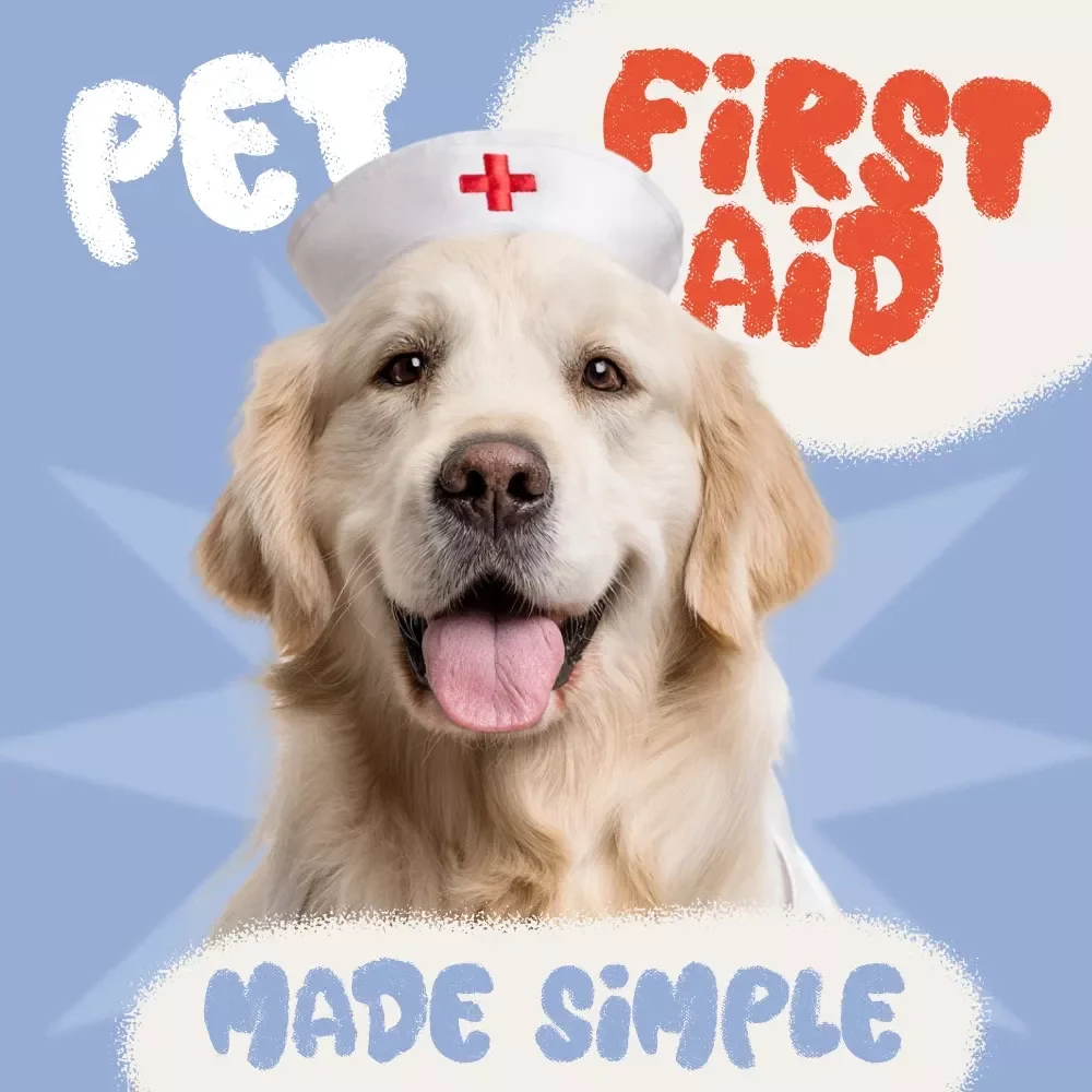 Pet First Aid Made Simple | Digital eBook Guide on How to Make a Pet First Aid Kit for Dog & Cat Owners, Emergency Preparedness Checklist for Pet Safety