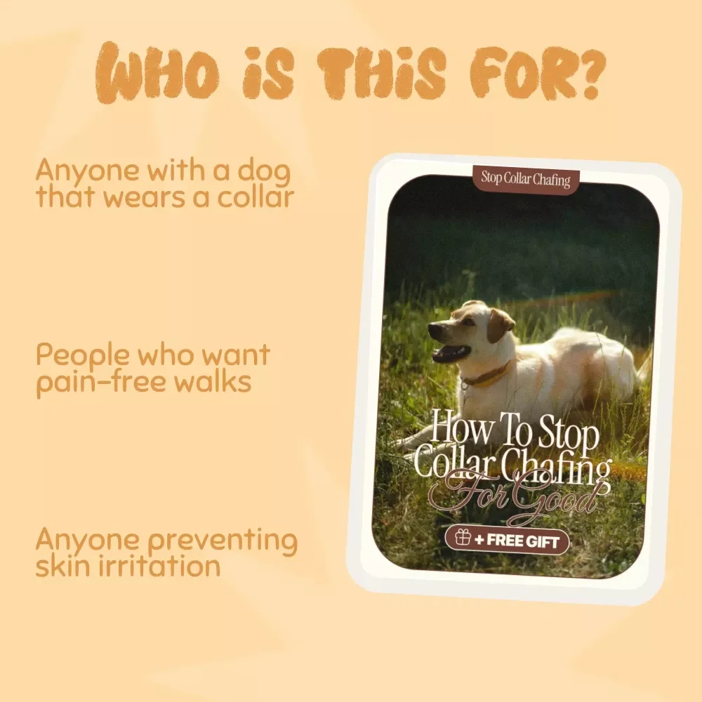 How to Stop Dog Collar Chafing for Good – Dog Owner’s Ultimate Guide | Prevent & Treat Chafing | eBook on what to do when a collar causes chafing | Perfect Fit, Healing Tips & No-Tug Training Plan