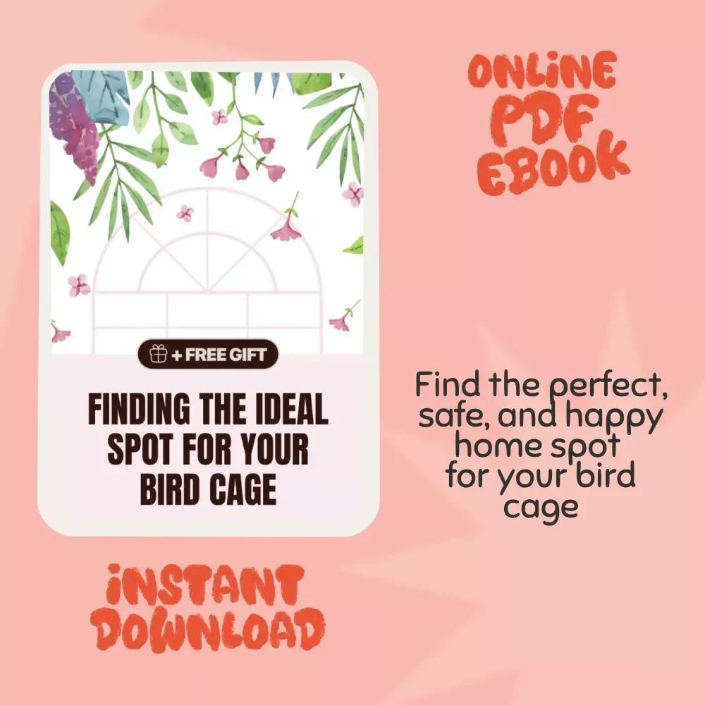 Finding the Ideal Spot for Your Bird Cage | Where Should You Place a Bird Cage | Complete Bird Cage Placement eBook Guide for Every Home