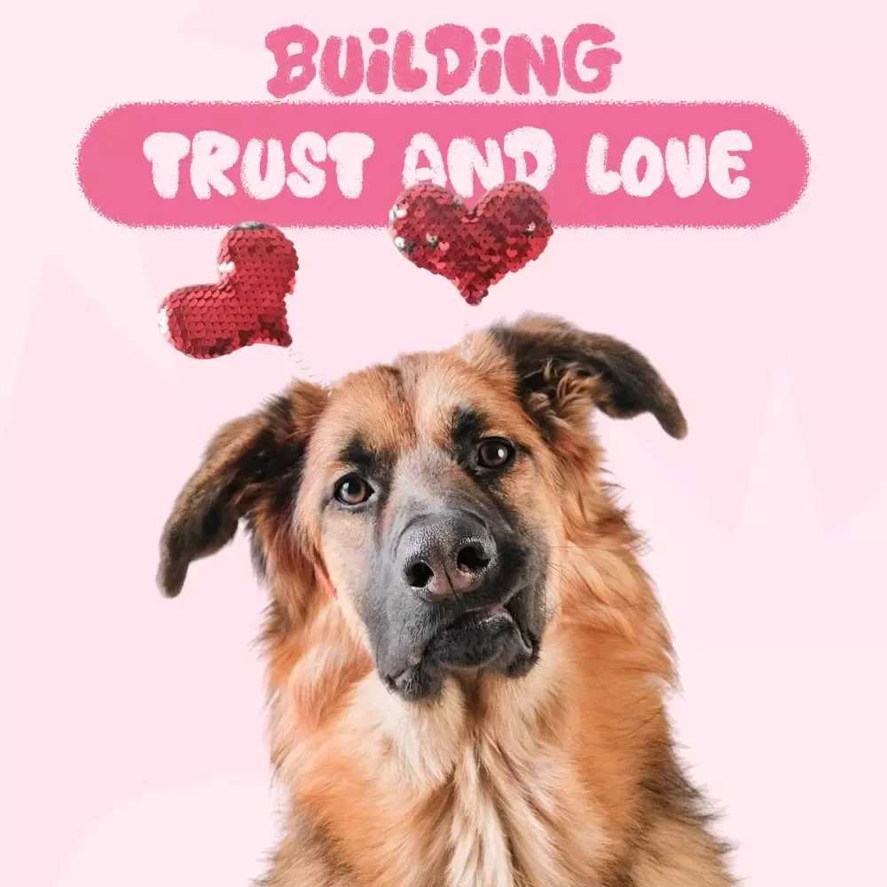 Building Trust and Love: A Rescue Dog Bonding Guide - eBook for New Dog Parents