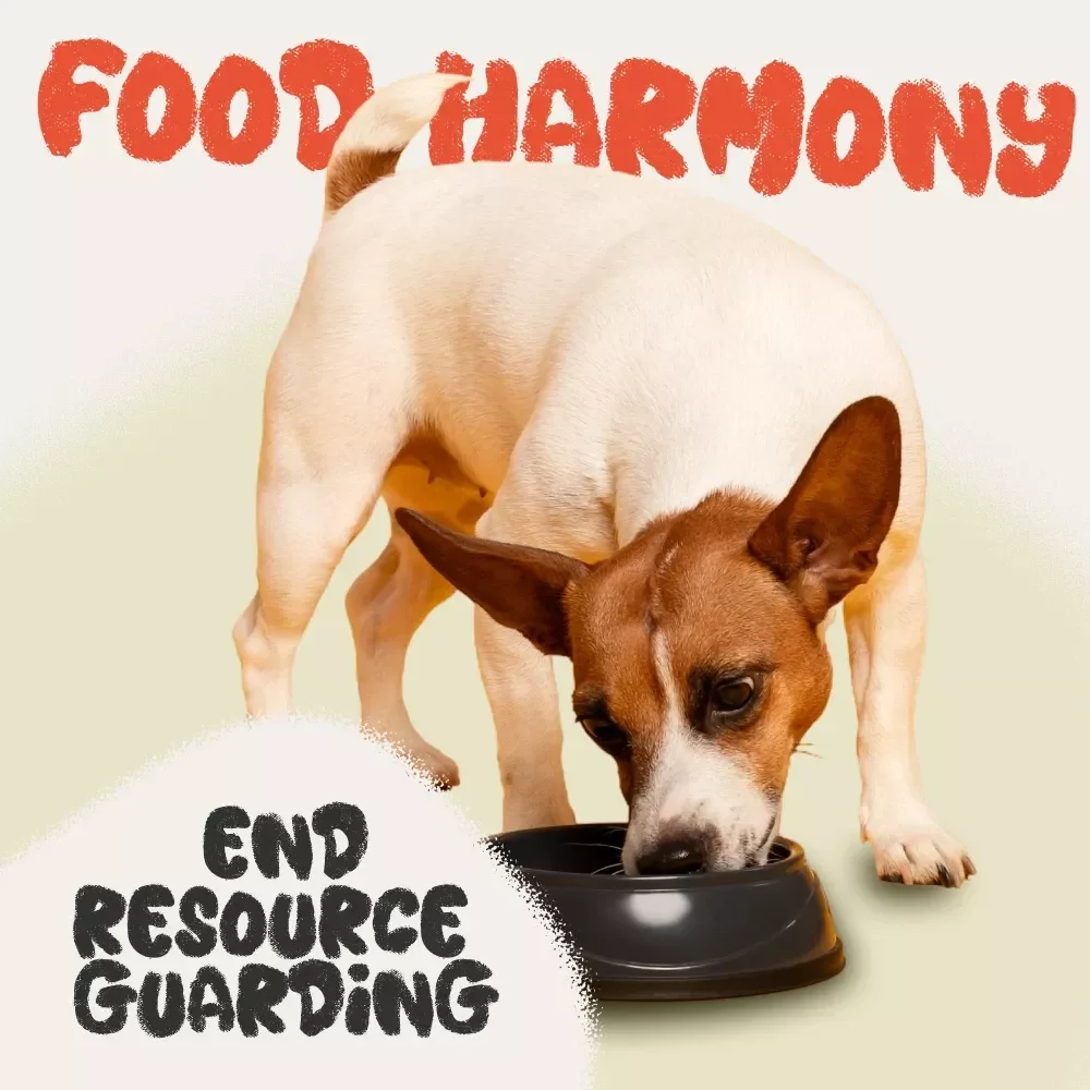 Mastering Food Harmony: End Resource Guarding - Dog Behavior eBook Guide