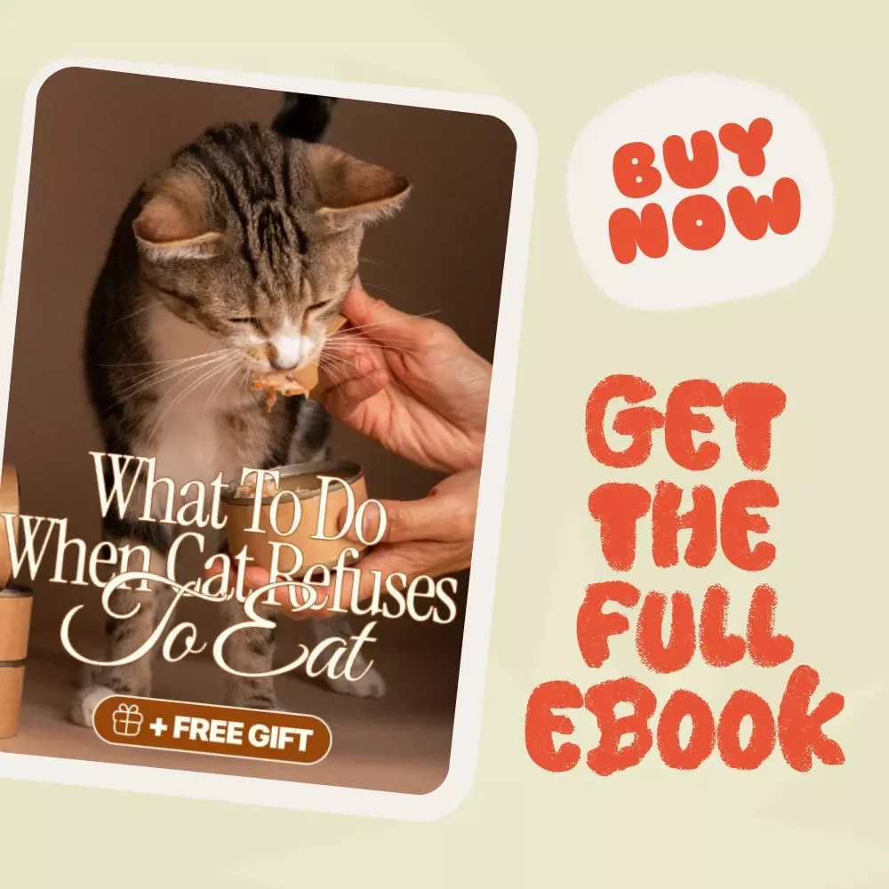 What to Do When Cat Refuses to Eat | Comprehensive Cat Care Ebook for Pet Owners | Digital Download Guide on Feline Feeding Problems and Solutions
