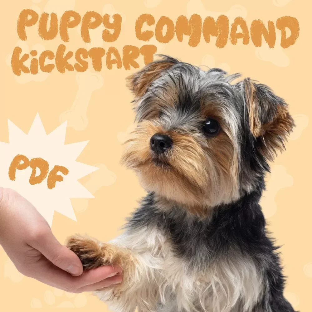 Puppy Command Kickstart: Your Fun Training Checklist - A Simple Guide to Teaching Basic Puppy Commands