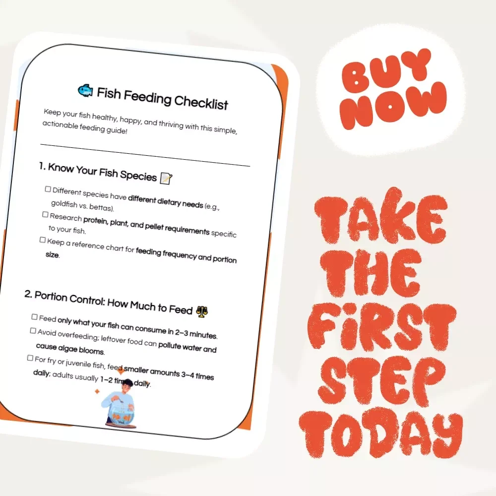 Fish Feeding Checklist – How Much Should You Feed Fish Daily? Complete Guide for Aquarium Care