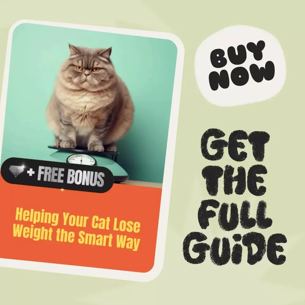 Helping Your Cat Lose Weight the Smart Way | Digital Guide for Pet Owners | What to Do When a Cat Is Overweight | Feline Health eBook & Wellness Plan