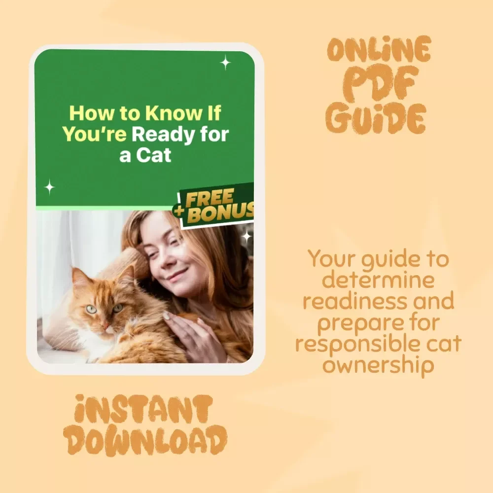 How to Know If You’re Ready for a Cat: The Ultimate Guide to Cat Ownership Readiness