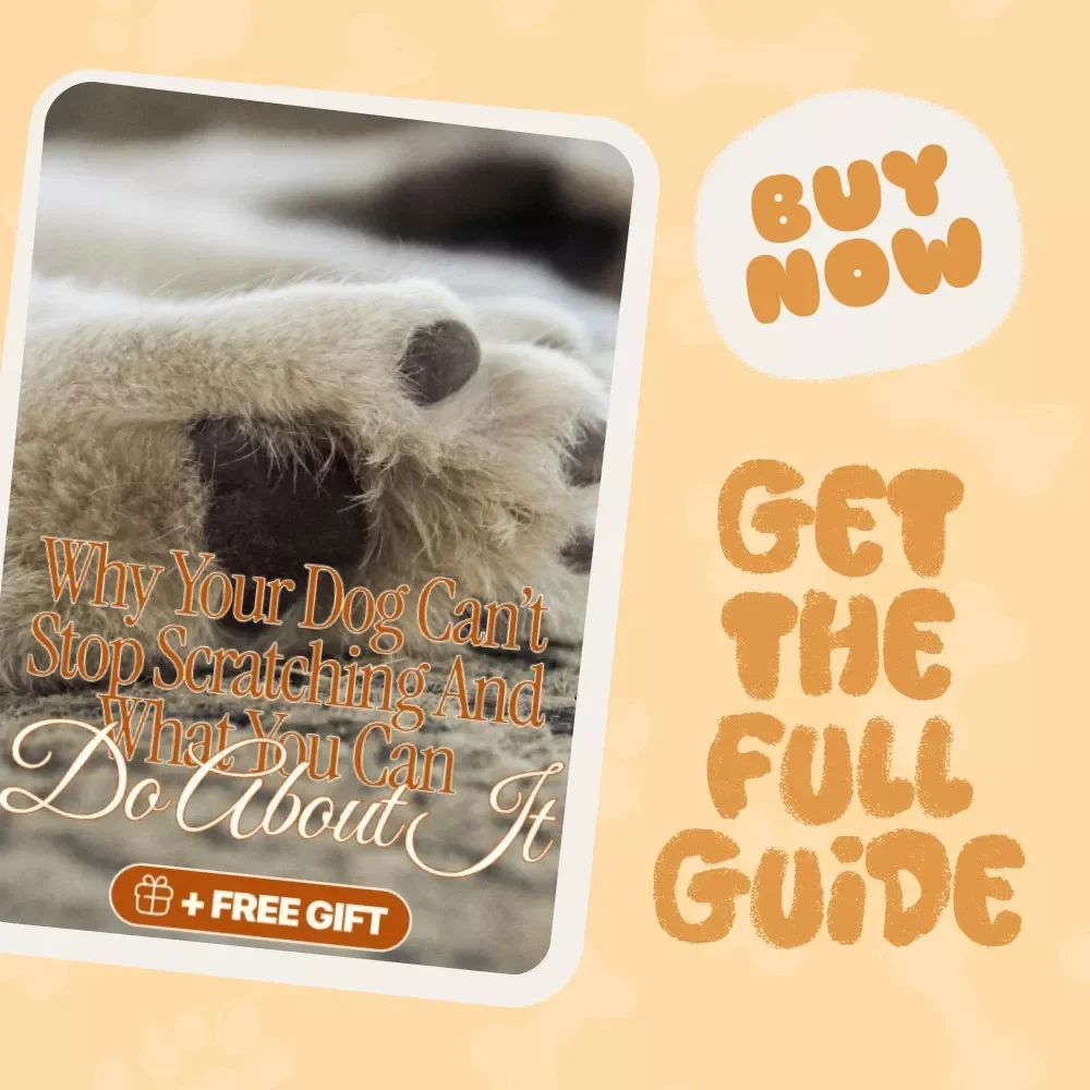 Itchy Mystery: Why Your Dog Can’t Stop Scratching and What You Can Do About It | Digital Dog Care Guide | Understanding, Diagnosing & Stopping Skin Itchiness Naturally | Perfect for Pet Owners Asking “why does my dog keep scratching its skin”