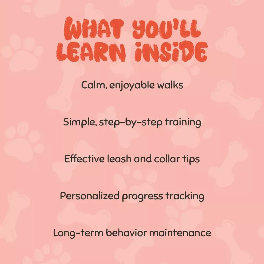 Gentle Strategies to Stop Your Puppy from Pulling - Effective Tips for Stopping a Puppy from Pulling | Digital Download Guide