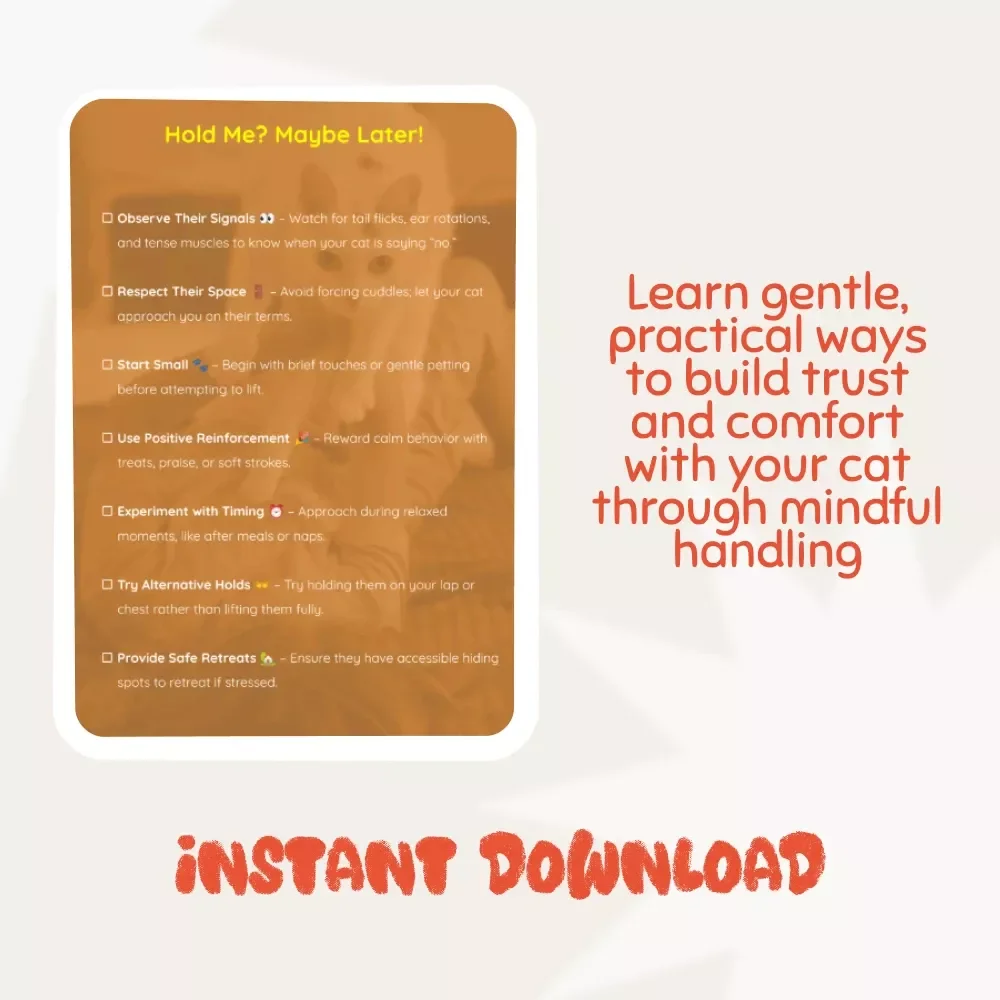 Hold Me? Maybe Later! | Cat Behavior Guide, Understanding Feline Affection, Digital eBook for Cat Owners, Gentle Handling & Bonding Tips