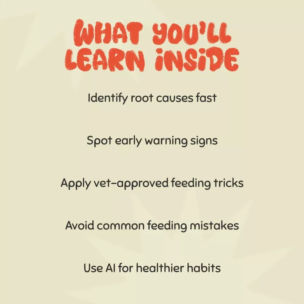 What to Do When Cat Refuses to Eat | Comprehensive Cat Care Ebook for Pet Owners | Digital Download Guide on Feline Feeding Problems and Solutions