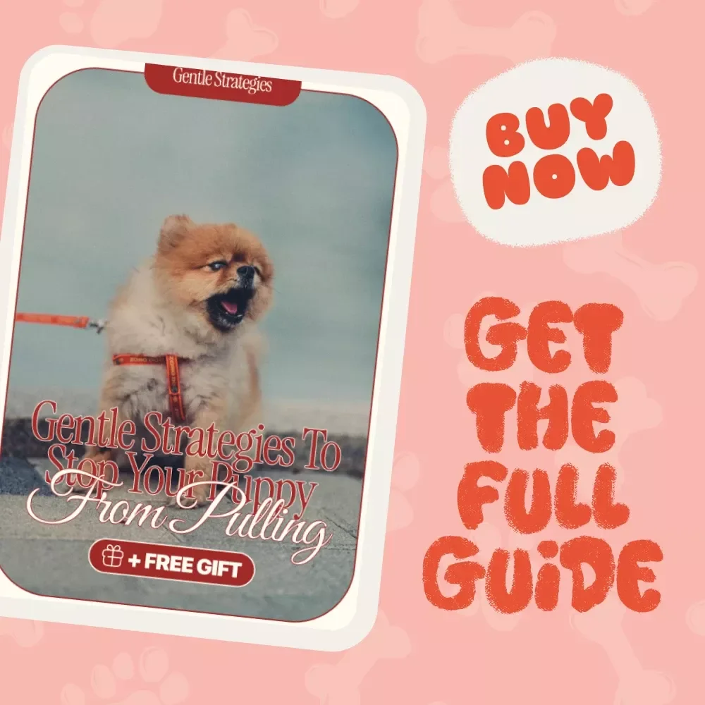 Gentle Strategies to Stop Your Puppy from Pulling - Effective Tips for Stopping a Puppy from Pulling | Digital Download Guide