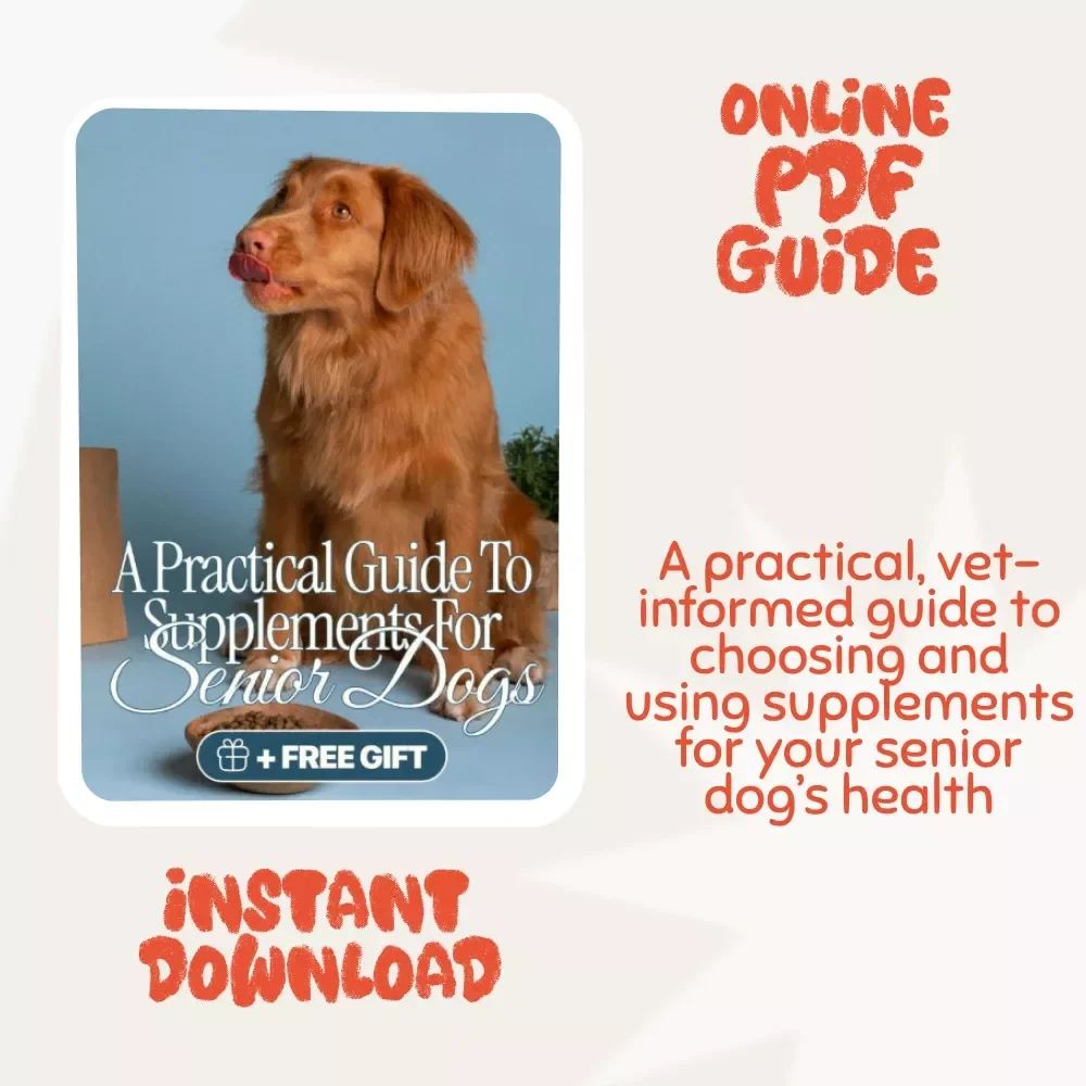 Golden Years, Healthy Paws: A Practical Guide to Supplements for Senior Dogs | Digital eBook for Pet Lovers | Dog Health & Wellness Guide | Senior Dog Care Checklist | Instant PDF Download