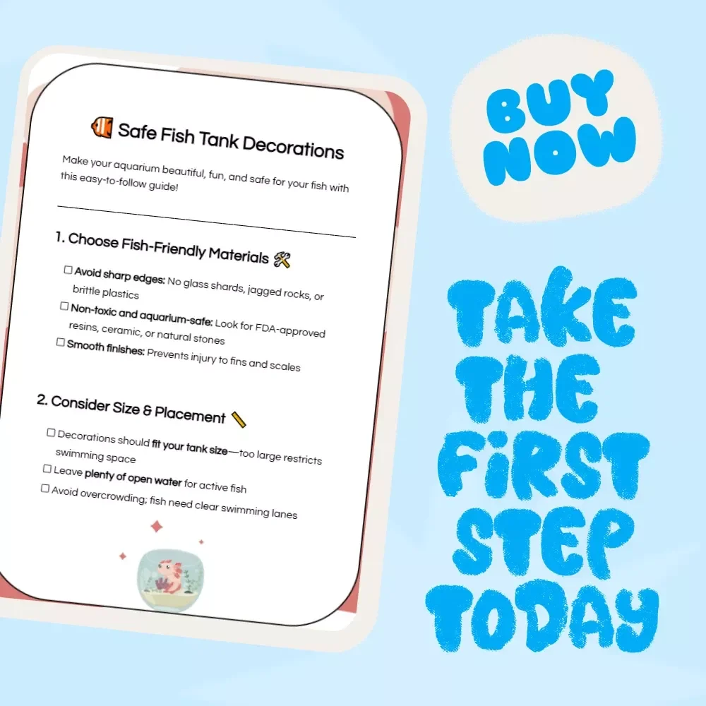 Safe Fish Tank Decorations Checklist: Best Decorations for Safe Fish Tanks