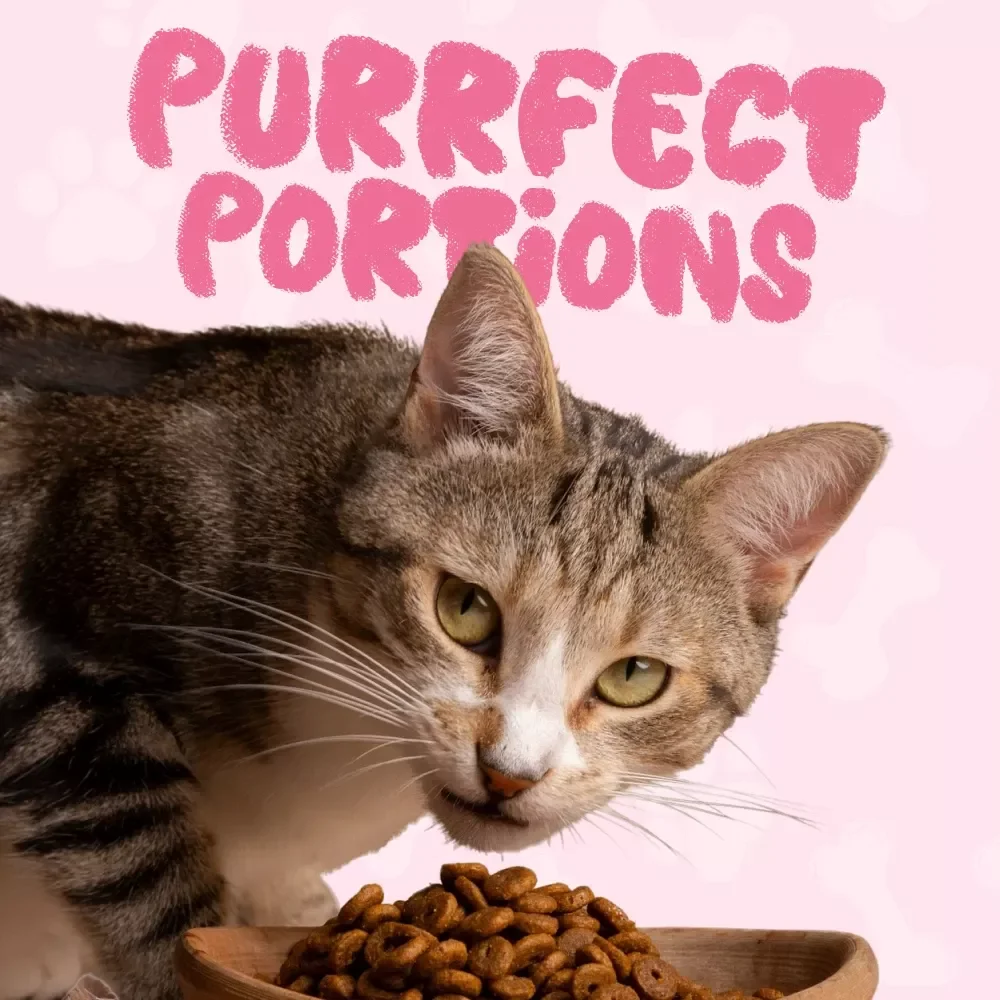 Purr-fect Portions: Your Daily Cat Feeding Checklist 🐾 | Cat Feeding Guide | Printable Cat Care Planner | Cat Nutrition eBook | Digital Download for Cat Owners