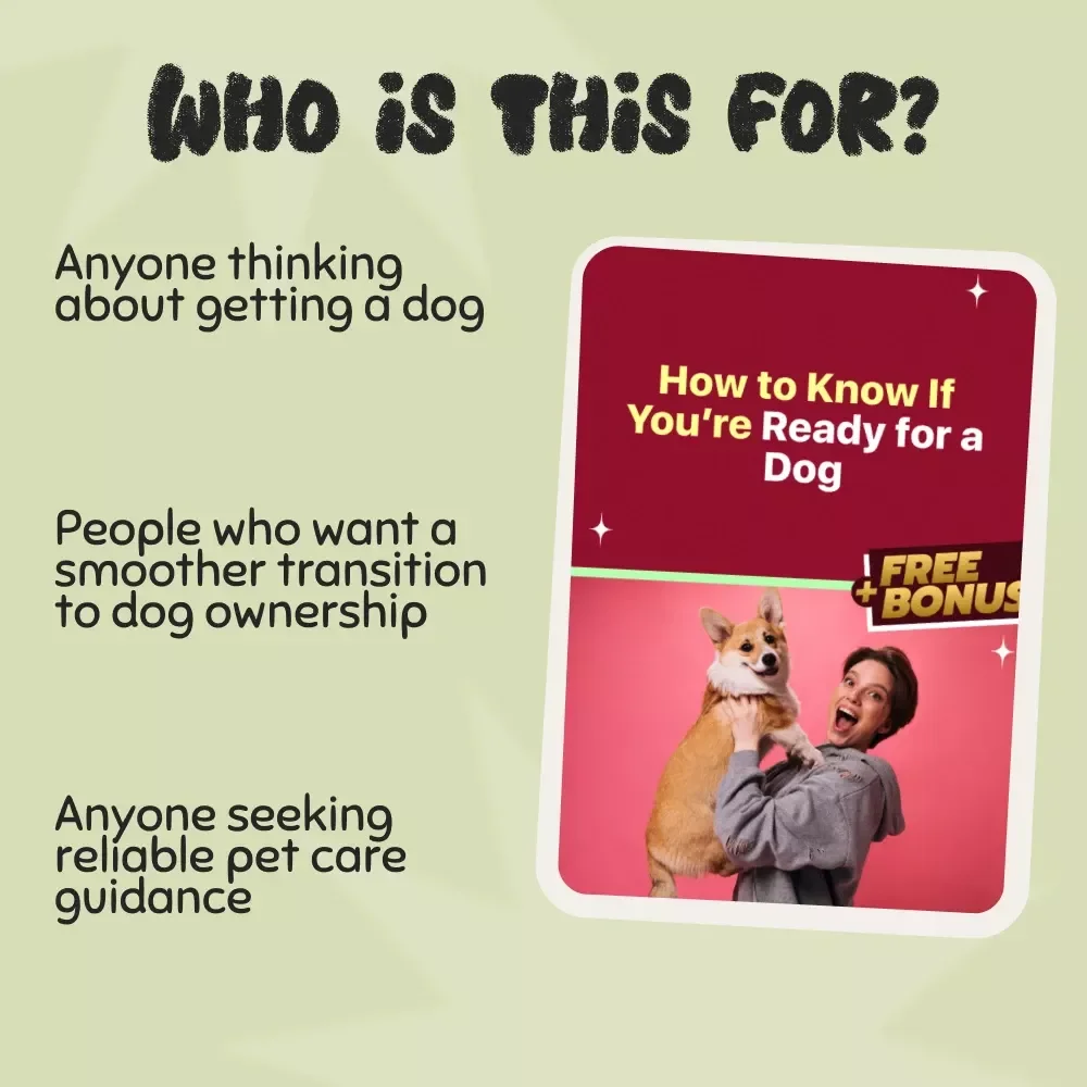 How to Know If You’re Ready for a Dog - A Complete Guide to Responsible Pet Ownership