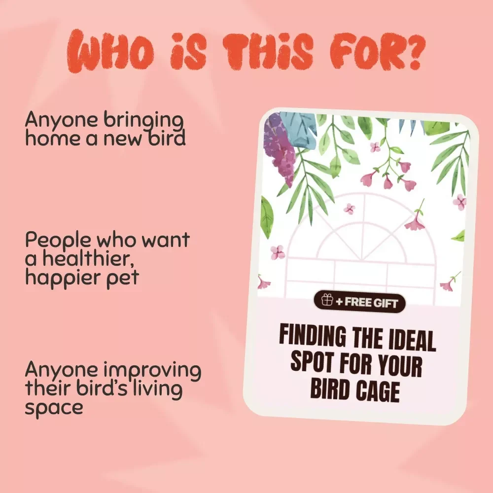 Finding the Ideal Spot for Your Bird Cage | Where Should You Place a Bird Cage | Complete Bird Cage Placement eBook Guide for Every Home