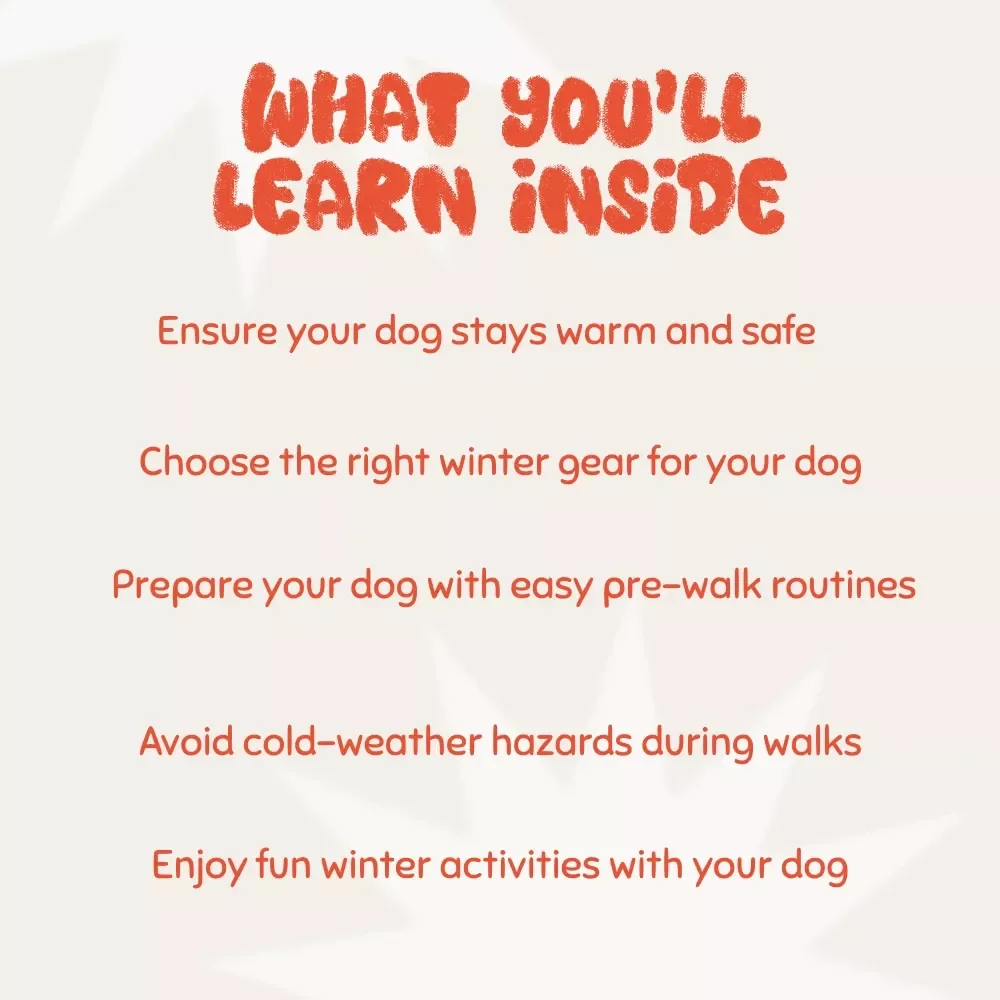 Cozy Paws on Winter Walks: The Ultimate eBook Guide to Winter Dog Walks, Gear & Care