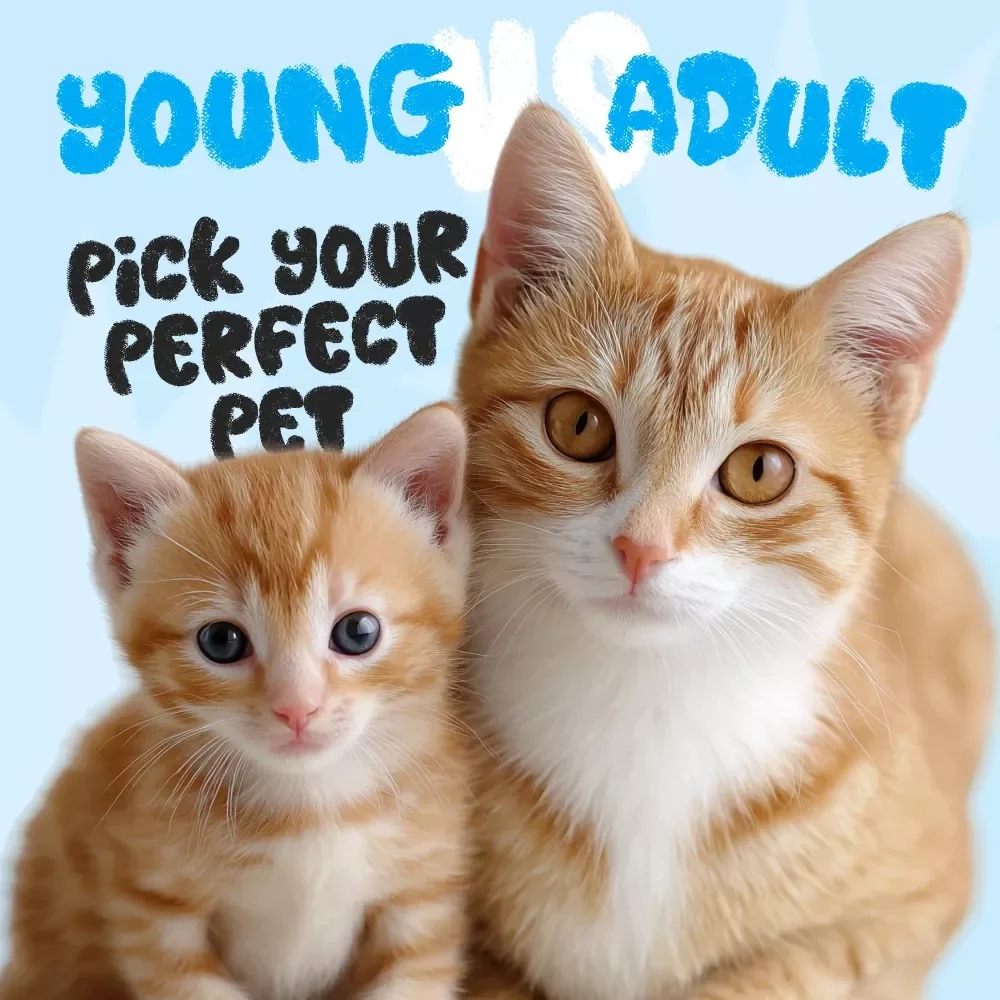 Pick Your Perfect Pet: Young vs Adult | Printable Pet Adoption Checklist | How to Choose Between a Young or Adult Pet | Digital Download for Pet Lovers