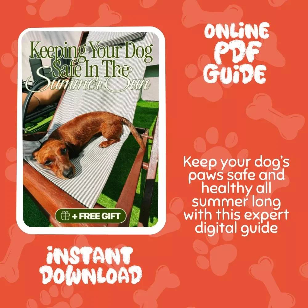 Keeping Your Dog Safe in the Summer Sun | Digital Download Guide for Dog Owners | Pet Safety eBook for Hot Weather, Paw Care, and Summer Walks