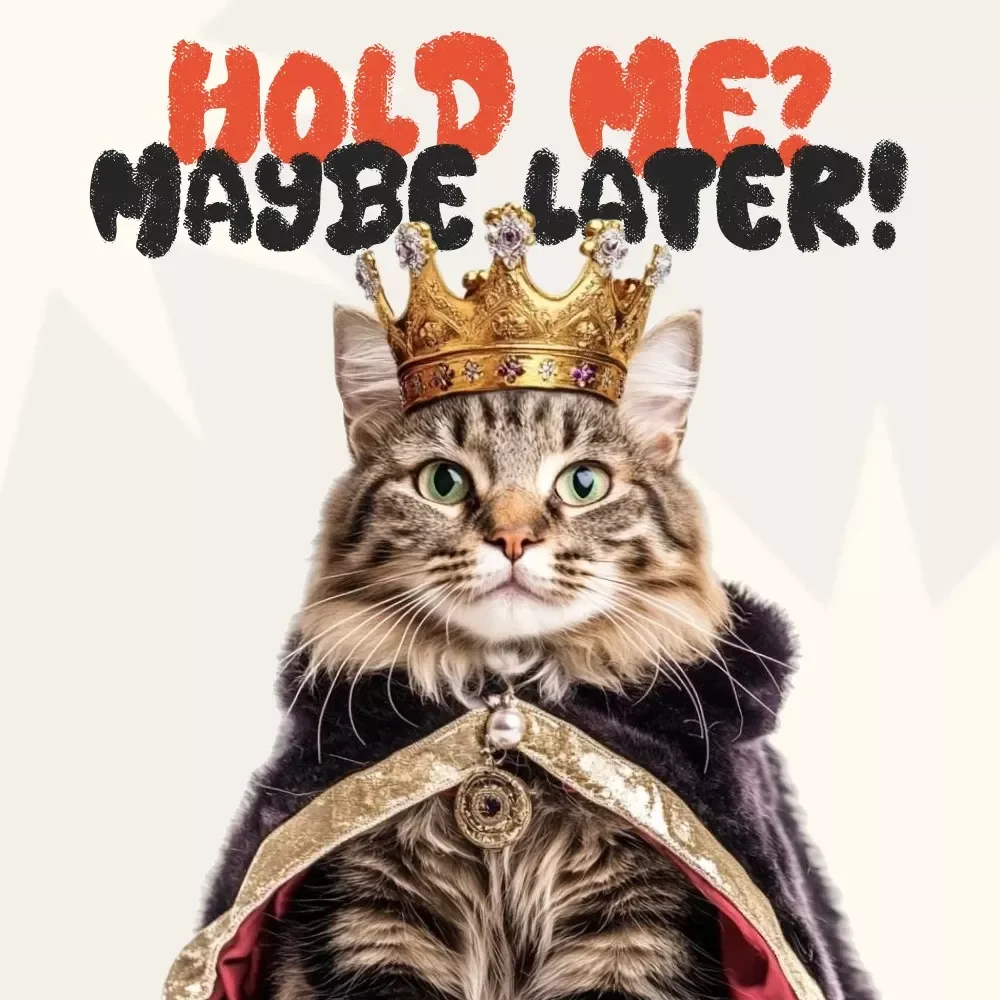 Hold Me? Maybe Later! | Cat Behavior Guide, Understanding Feline Affection, Digital eBook for Cat Owners, Gentle Handling & Bonding Tips