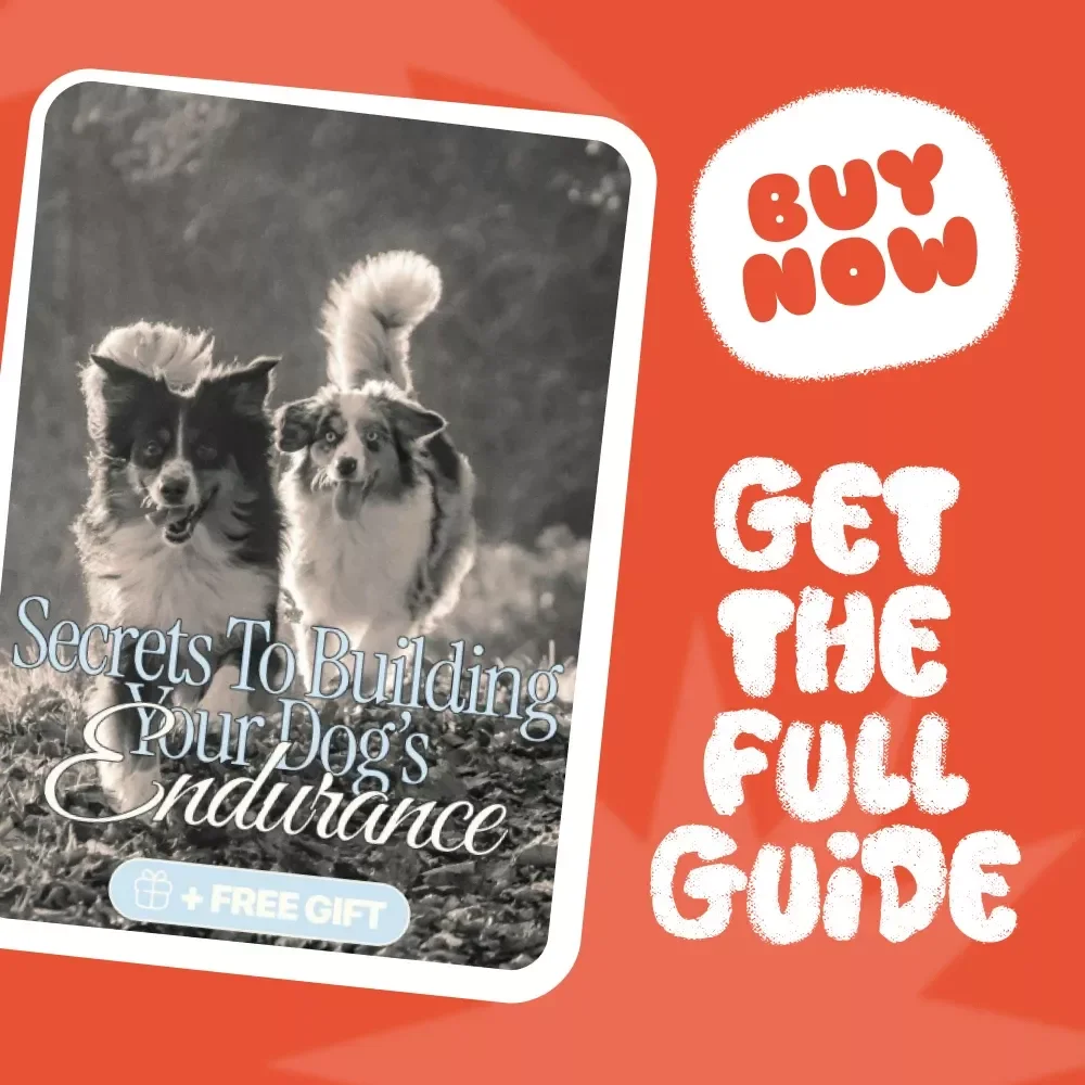 Secrets to Building Your Dog’s Endurance | Digital Guide for Pet Owners | Proven Tips for Increasing a Dog’s Endurance and Energy Naturally