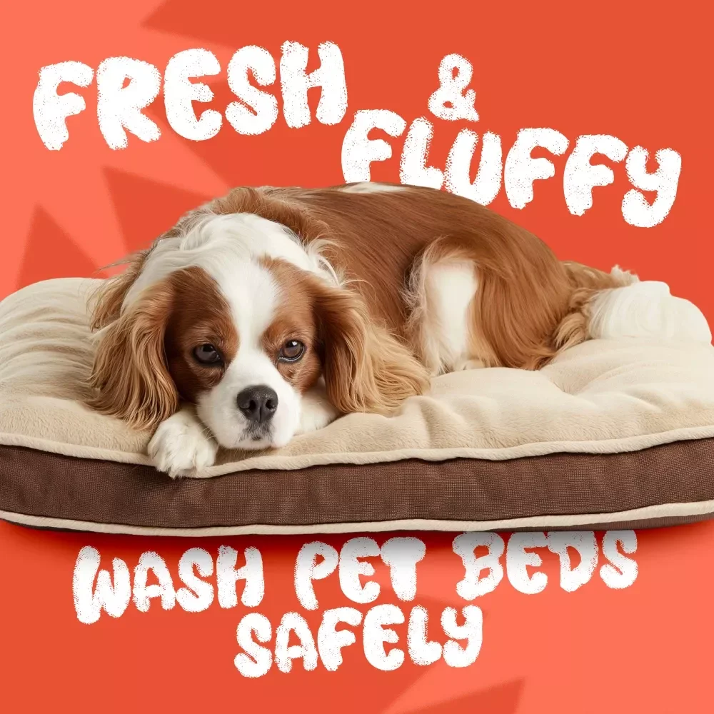 Fresh & Fluffy: Wash Pet Beds Safely - The Ultimate Guide on How to Wash Pet Beds Without Damage