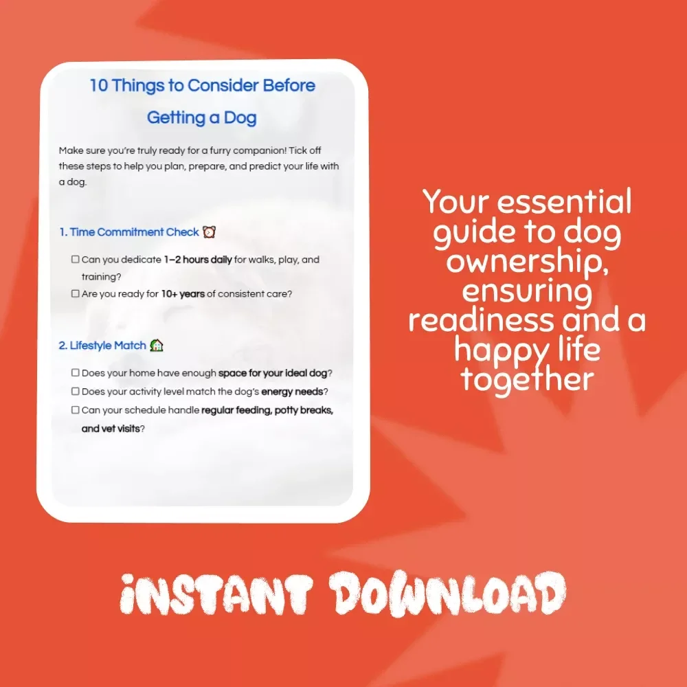 10 Things to Consider Before Getting a Dog - A Must-Have Checklist for Dog Parents
