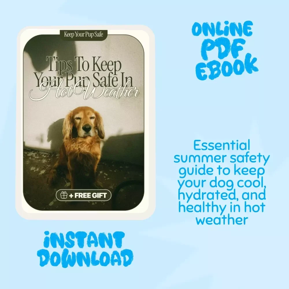 Tips to Keep Your Pup Safe in Hot Weather | Printable Pet Safety eBook | Summer Dog Care Guide | Heat Safety Tips for Dog Owners | Digital Download