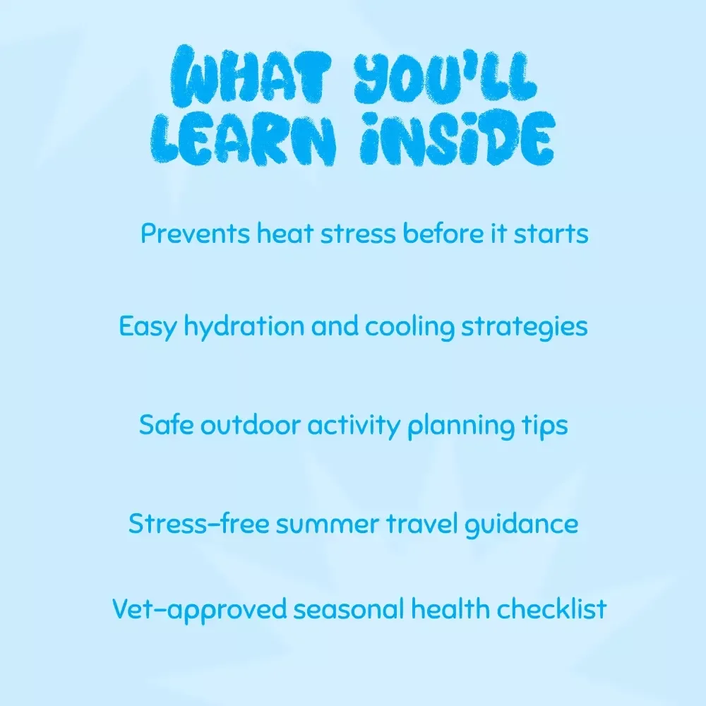 Tips to Keep Your Pup Safe in Hot Weather | Printable Pet Safety eBook | Summer Dog Care Guide | Heat Safety Tips for Dog Owners | Digital Download