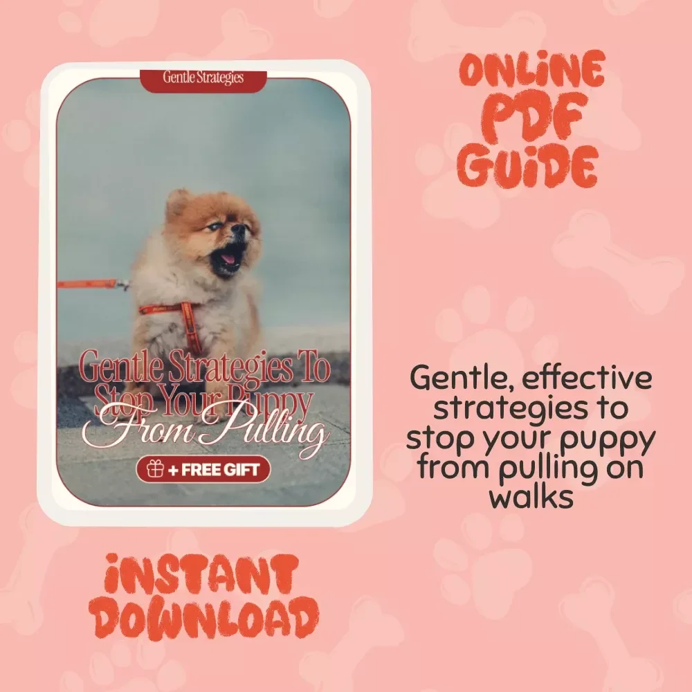 Gentle Strategies to Stop Your Puppy from Pulling - Effective Tips for Stopping a Puppy from Pulling | Digital Download Guide