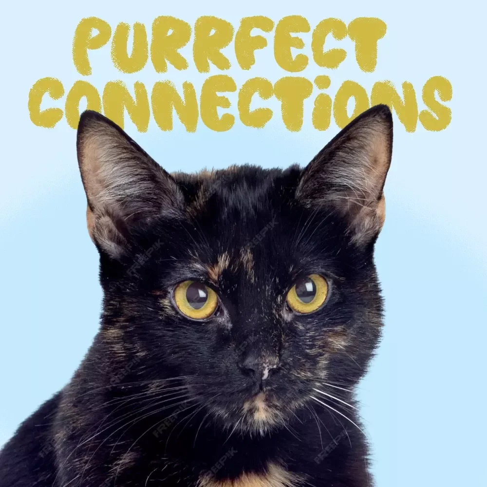 Purrfect Connections: Your Rescue Cat Bonding Checklist | Digital Cat Adoption Guide, Printable Pet Care eBook, Cat Lover Download