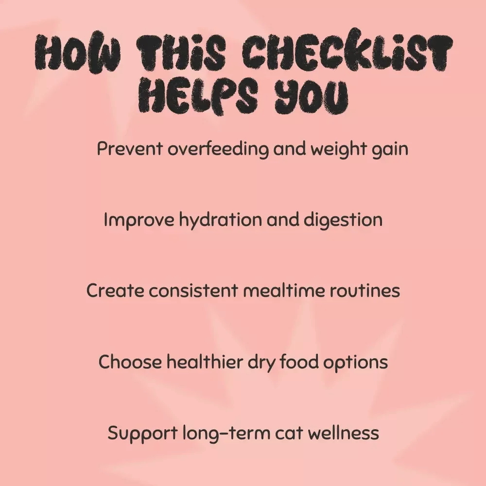 The Right Time for Crunchy Dry Food Checklist for Cats | Printable Cat Feeding Guide | Digital Download for Cat Owners | when should you give cats dry food