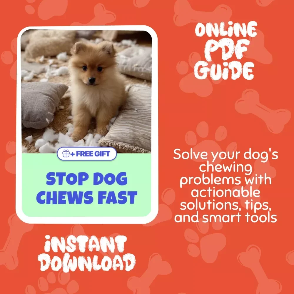 Stop Dog Chews Fast: The Ultimate Guide on What to Do When Your Dog Chews Furniture