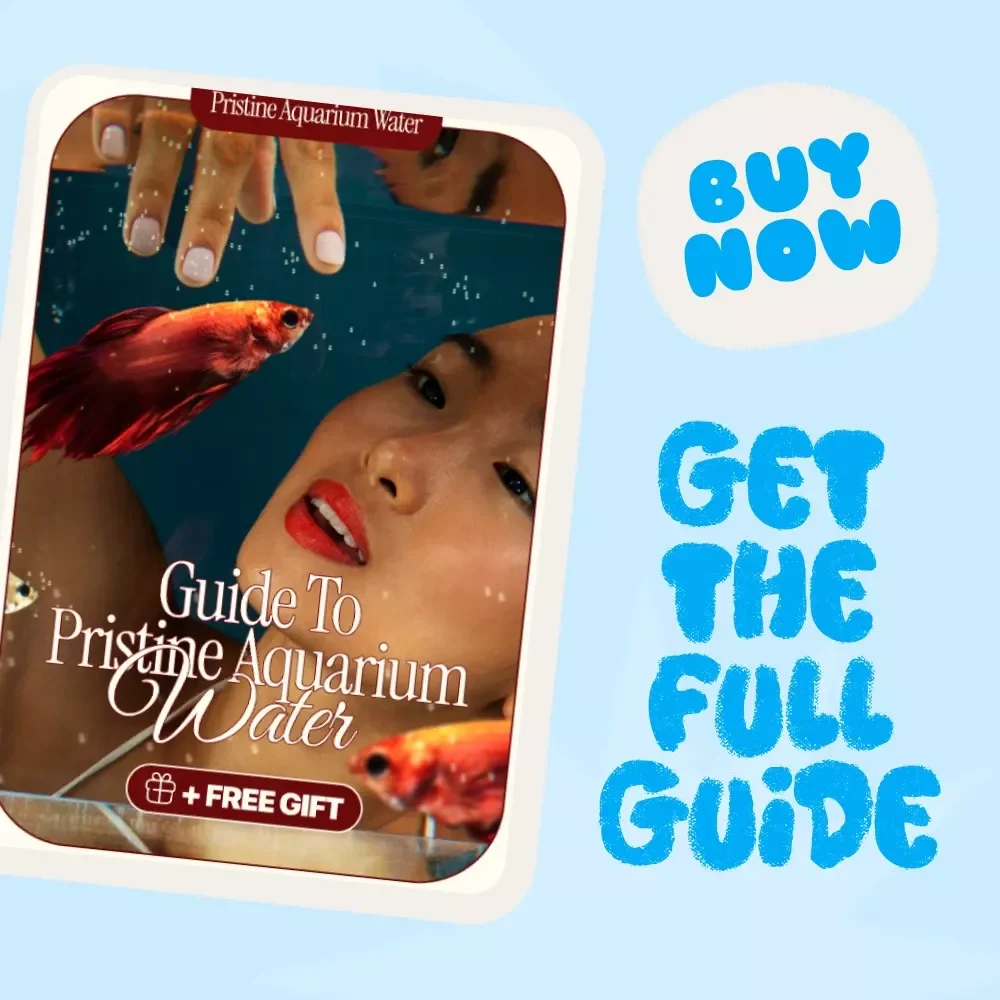 Guide to Pristine Aquarium Water: How to Keep Your Fish Aquarium Water Crystal Clear – Ultimate Digital Guide
