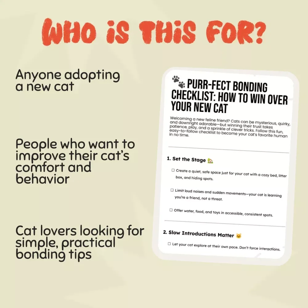 Purr-fect Bonding Checklist: How to Win Over Your New Cat - Ultimate Guide to Building a Strong Cat Relationship