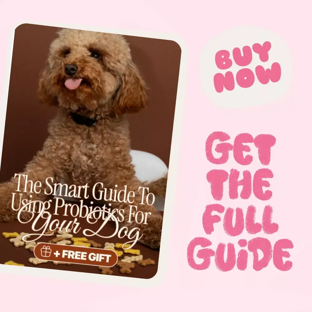 Happy Tummies, Wagging Tails: The Smart Guide to Using Probiotics for Your Dog | Dog Health eBook | Canine Digestive Wellness | Pet Probiotic Care | Digital Download