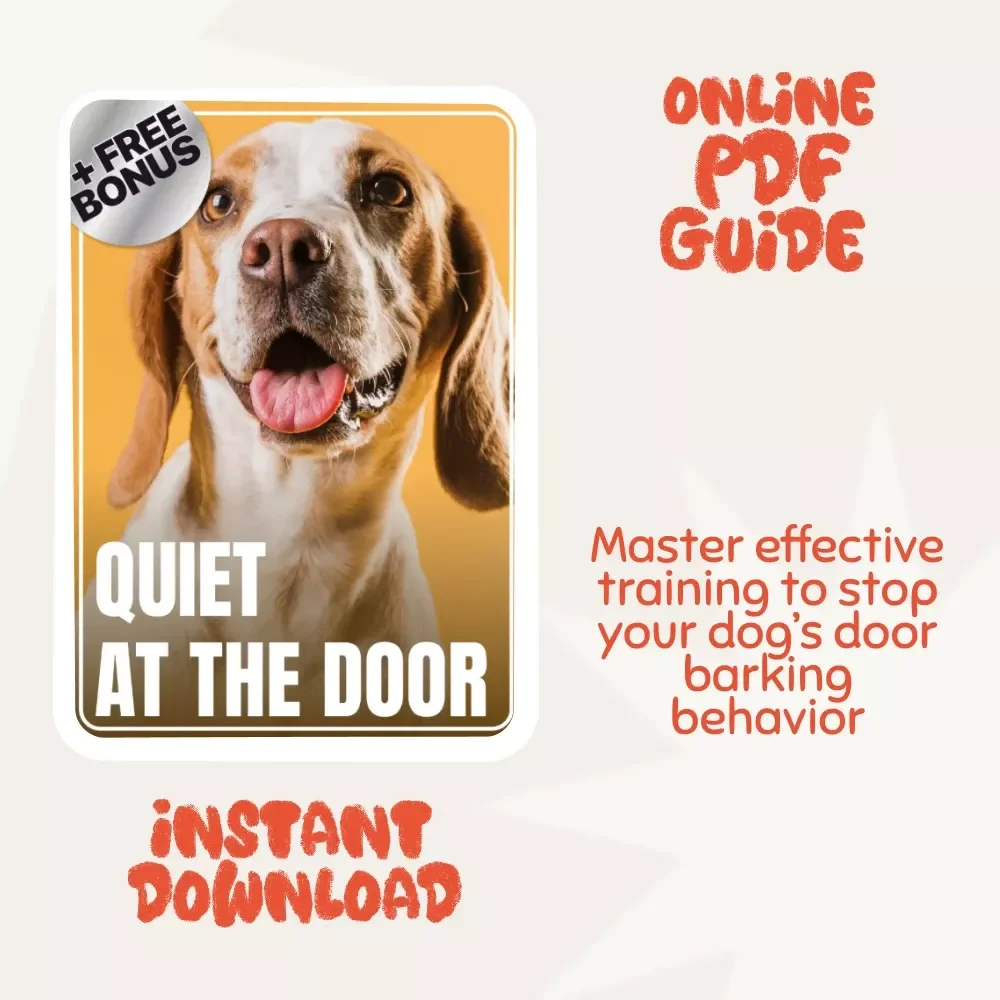 Quiet at the Door: The Ultimate Guide to Stopping Barking at Strangers at the Door