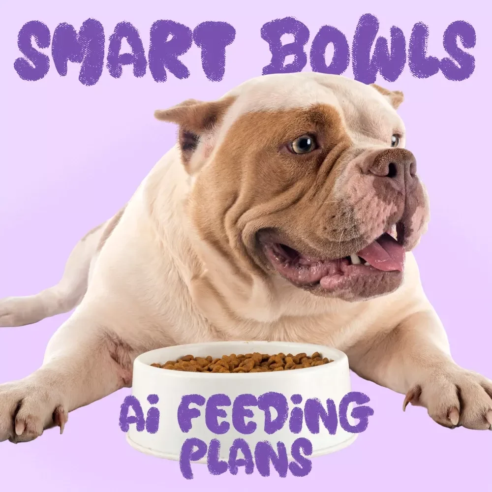 Smart Bowls: Using AI to Tailor Perfect Pet Feeding Plans – eBook Guide & Checklist for Pet Health