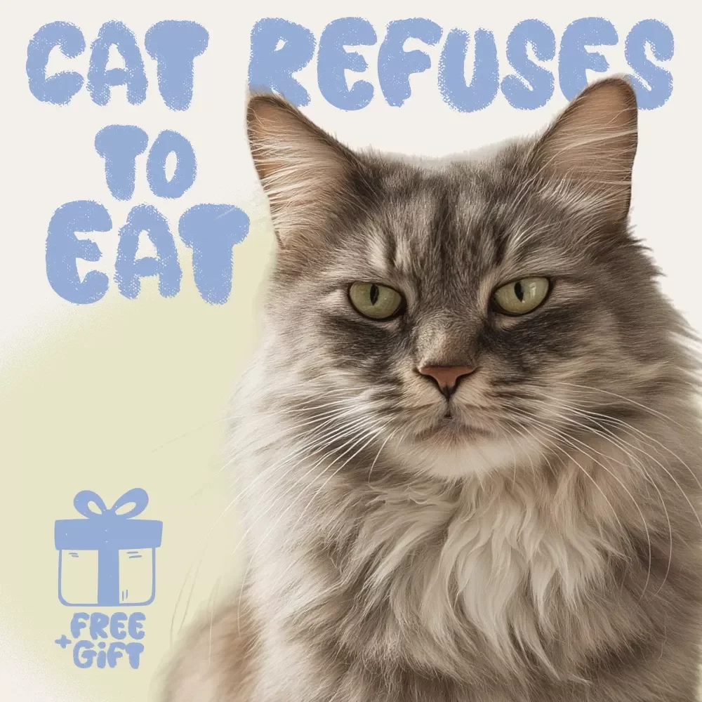 What to Do When Cat Refuses to Eat | Comprehensive Cat Care Ebook for Pet Owners | Digital Download Guide on Feline Feeding Problems and Solutions